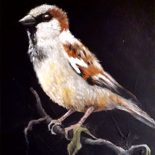 painting bird portrait